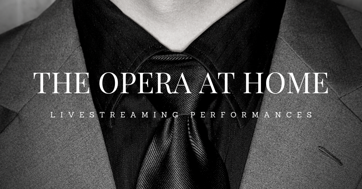 OPERA SINGERS IN YOUR HOME
