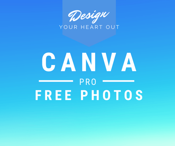 web depot newsletter 05_02 canva